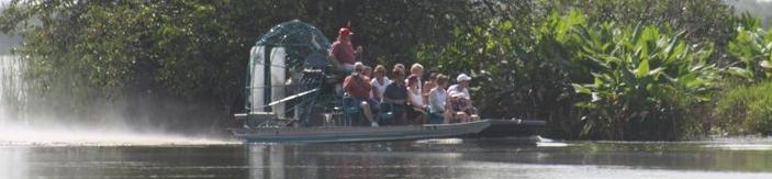 Everglades Day Safari